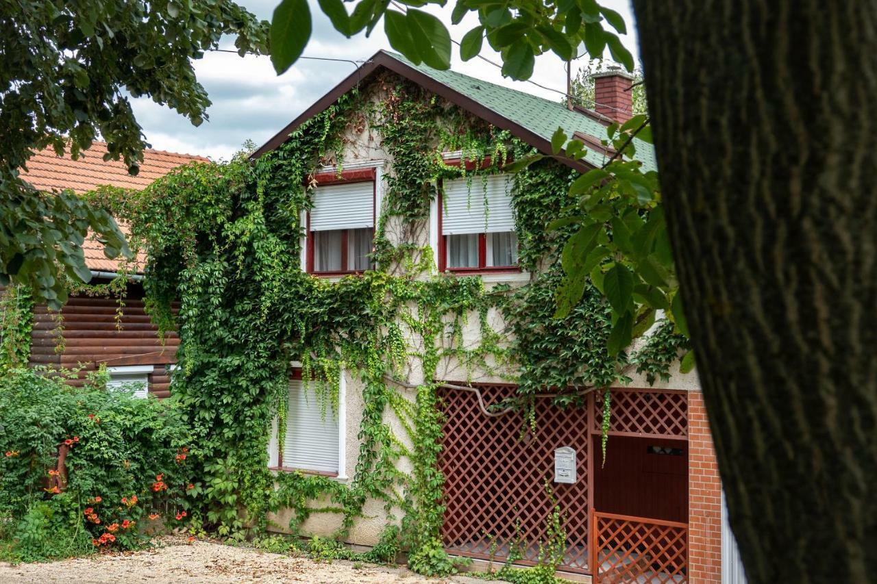 Vadszőlő Apartmanház Gyomaendrőd Esterno foto