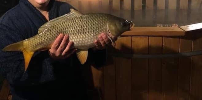 Vadszőlő Apartmanház Gyomaendrőd Esterno foto